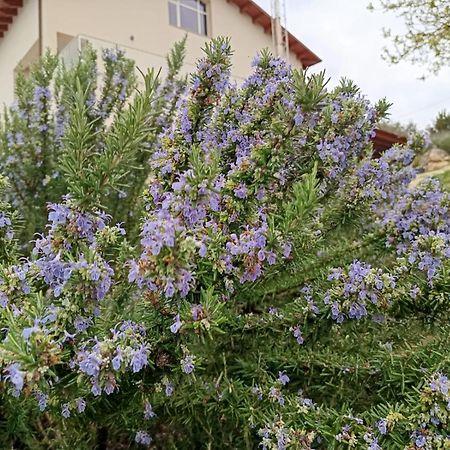 B&B Tenute Lazzarino Sciacca Zewnętrze zdjęcie