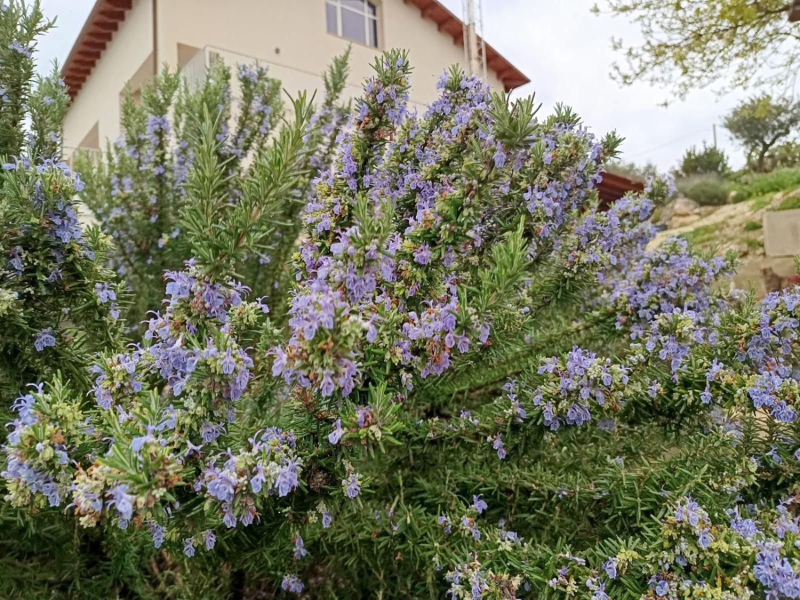 B&B Tenute Lazzarino Sciacca Zewnętrze zdjęcie